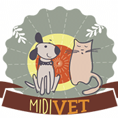 Clinique Vétérinaire Midivet