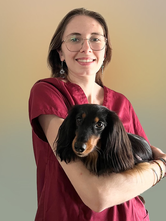 Elisa ASV Midivet